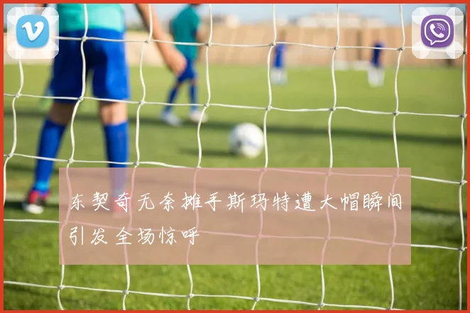 东契奇无奈摊手斯玛特遭大帽瞬间引发全场惊呼